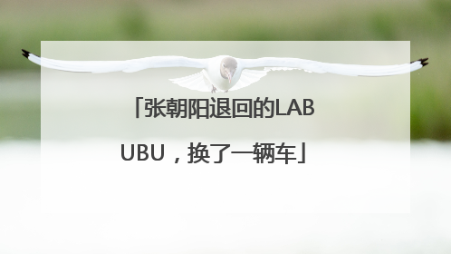 张朝阳退回的LABUBU，换了一辆车