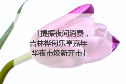 提振夜间消费，吉林桦甸乐享嘉年华夜市焕新开市