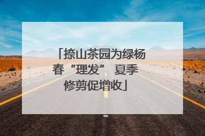 捺山茶园为绿杨春“理发” 夏季修剪促增收
