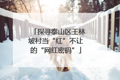 探寻泰山区王林坡村当“红”不让的“网红密码”