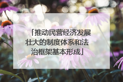 推动民营经济发展壮大的制度体系和法治框架基本形成