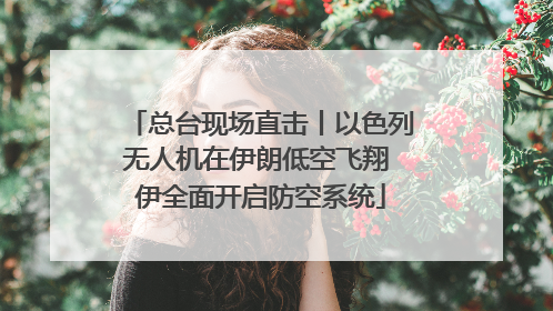 总台现场直击丨以色列无人机在伊朗低空飞翔 伊全面开启防空系统