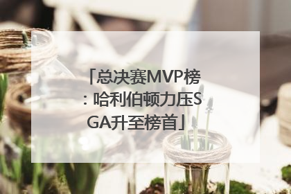 总决赛MVP榜：哈利伯顿力压SGA升至榜首