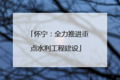怀宁：全力推进重点水利工程建设