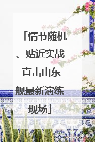 情节随机、贴近实战 直击山东舰最新演练现场