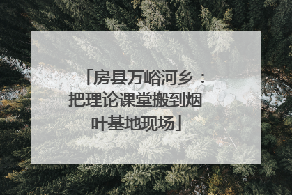 房县万峪河乡：把理论课堂搬到烟叶基地现场