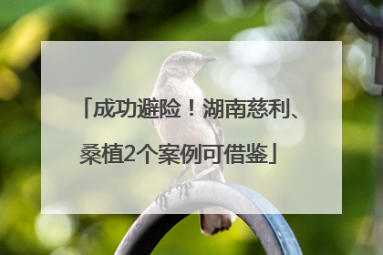 成功避险！湖南慈利、桑植2个案例可借鉴