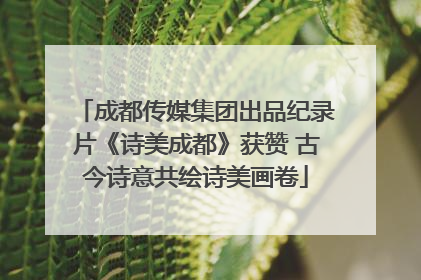 成都传媒集团出品纪录片《诗美成都》获赞 古今诗意共绘诗美画卷