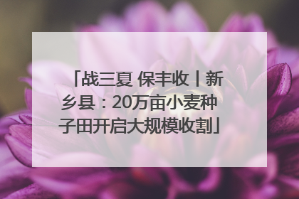 战三夏 保丰收丨新乡县：20万亩小麦种子田开启大规模收割