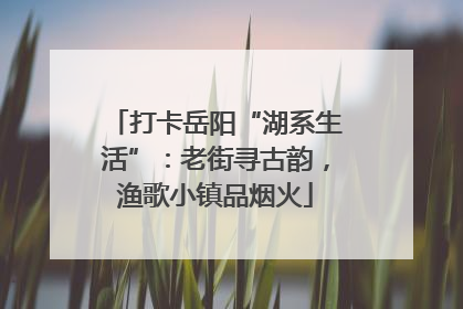 打卡岳阳“湖系生活”：老街寻古韵，渔歌小镇品烟火