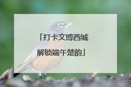 打卡文博西城 解锁端午楚韵