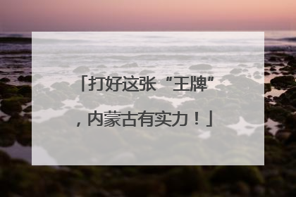打好这张“王牌”，内蒙古有实力！