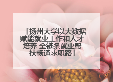 扬州大学以大数据赋能就业工作和人才培养 全链条就业帮扶畅通求职路
