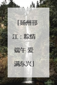 扬州邗江：粽情端午 爱满东兴
