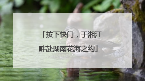 按下快门，于湘江畔赴湖南花海之约