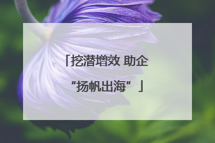 挖潜增效 助企“扬帆出海”