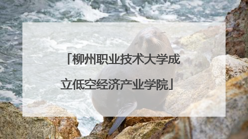 柳州职业技术大学成立低空经济产业学院