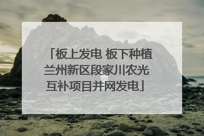 板上发电 板下种植 兰州新区段家川农光互补项目并网发电