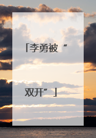 李勇被“双开”