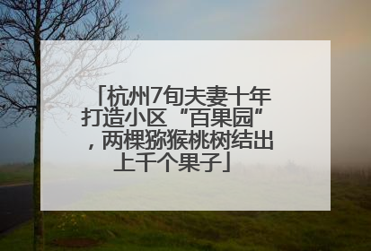 杭州7旬夫妻十年打造小区“百果园”，两棵猕猴桃树结出上千个果子