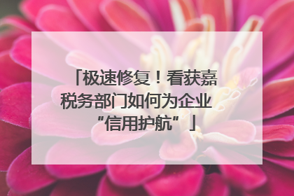 极速修复！看获嘉税务部门如何为企业“信用护航”