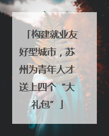 构建就业友好型城市，苏州为青年人才送上四个“大礼包”