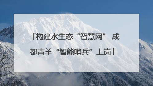 构建水生态“智慧网” 成都青羊“智能哨兵”上岗