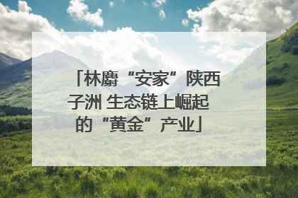 林麝“安家”陕西子洲 生态链上崛起的“黄金”产业