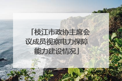 枝江市政协主席会议成员视察电力保障能力建设情况