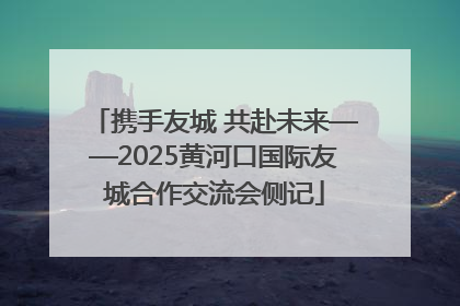 携手友城 共赴未来——2025黄河口国际友城合作交流会侧记