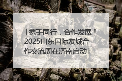 携手同行，合作发展！2025山东国际友城合作交流周在济南启动