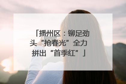 播州区：铆足劲头“抢春光”全力拼出“首季红”