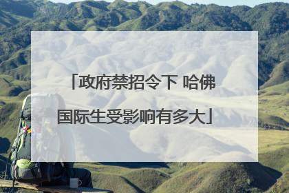 政府禁招令下 哈佛国际生受影响有多大