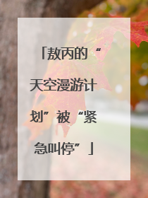 敖丙的“天空漫游计划”被“紧急叫停”