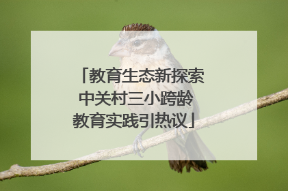 教育生态新探索 中关村三小跨龄教育实践引热议