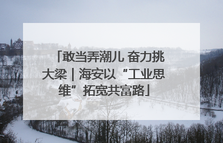 敢当弄潮儿 奋力挑大梁｜海安以“工业思维”拓宽共富路