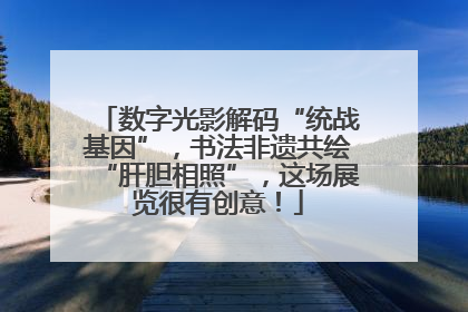 数字光影解码“统战基因”，书法非遗共绘“肝胆相照”，这场展览很有创意！