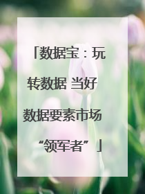 数据宝：玩转数据 当好数据要素市场“领军者”