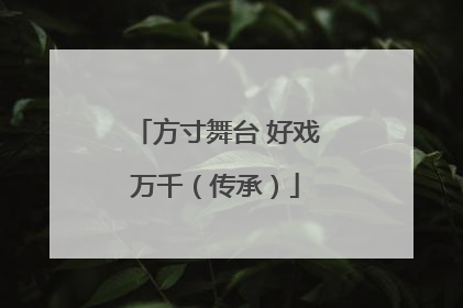 方寸舞台 好戏万千（传承）