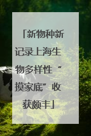 新物种新记录上海生物多样性“摸家底”收获颇丰