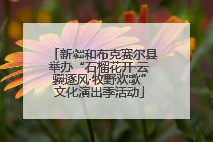 新疆和布克赛尔县举办“石榴花开·云骥逐风·牧野欢歌”文化演出季活动