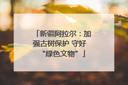 新疆阿拉尔：加强古树保护 守好“绿色文物”
