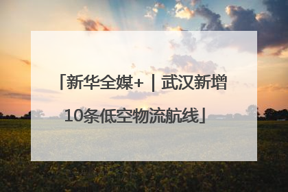 新华全媒+｜武汉新增10条低空物流航线