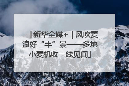 新华全媒+｜风吹麦浪好“丰”景——多地小麦机收一线见闻