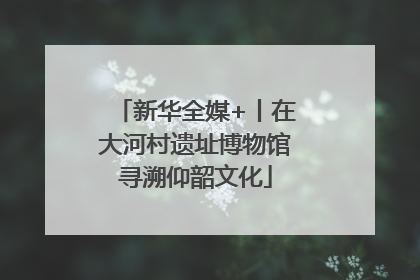 新华全媒+丨在大河村遗址博物馆寻溯仰韶文化