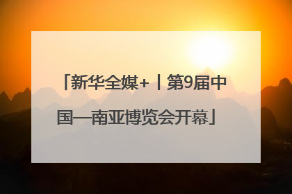 新华全媒+丨第9届中国—南亚博览会开幕