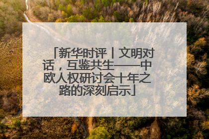 新华时评丨文明对话，互鉴共生——中欧人权研讨会十年之路的深刻启示