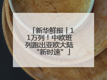 新华鲜报丨11万列！中欧班列跑出亚欧大陆“新时速”
