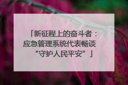 新征程上的奋斗者：应急管理系统代表畅谈“守护人民平安”