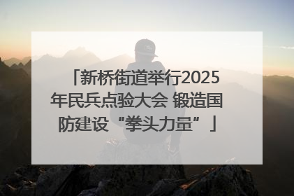 新桥街道举行2025年民兵点验大会 锻造国防建设“拳头力量”